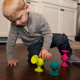 Pipsquigz 3 ventouses sensorielles