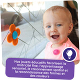 Whirly squigz - la toupie ventouse sensoriel